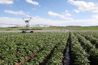 內(nèi)蒙古農(nóng)作物良種覆蓋率達98%以上，現(xiàn)代農(nóng)業(yè)發(fā)展邁上新臺階