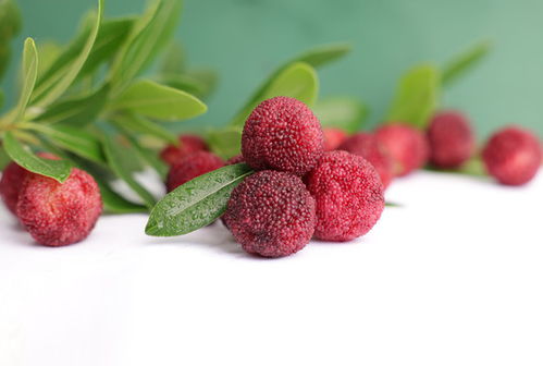 小米圖片素材庫 探索植物花草分類下的農(nóng)作物與蔬菜之美