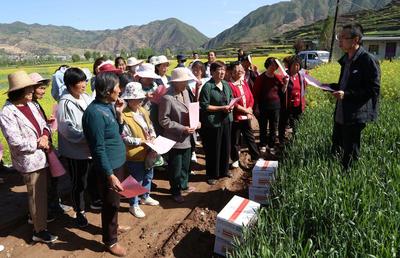 武山 統(tǒng)防統(tǒng)治為糧食生產(chǎn)“保駕護航”