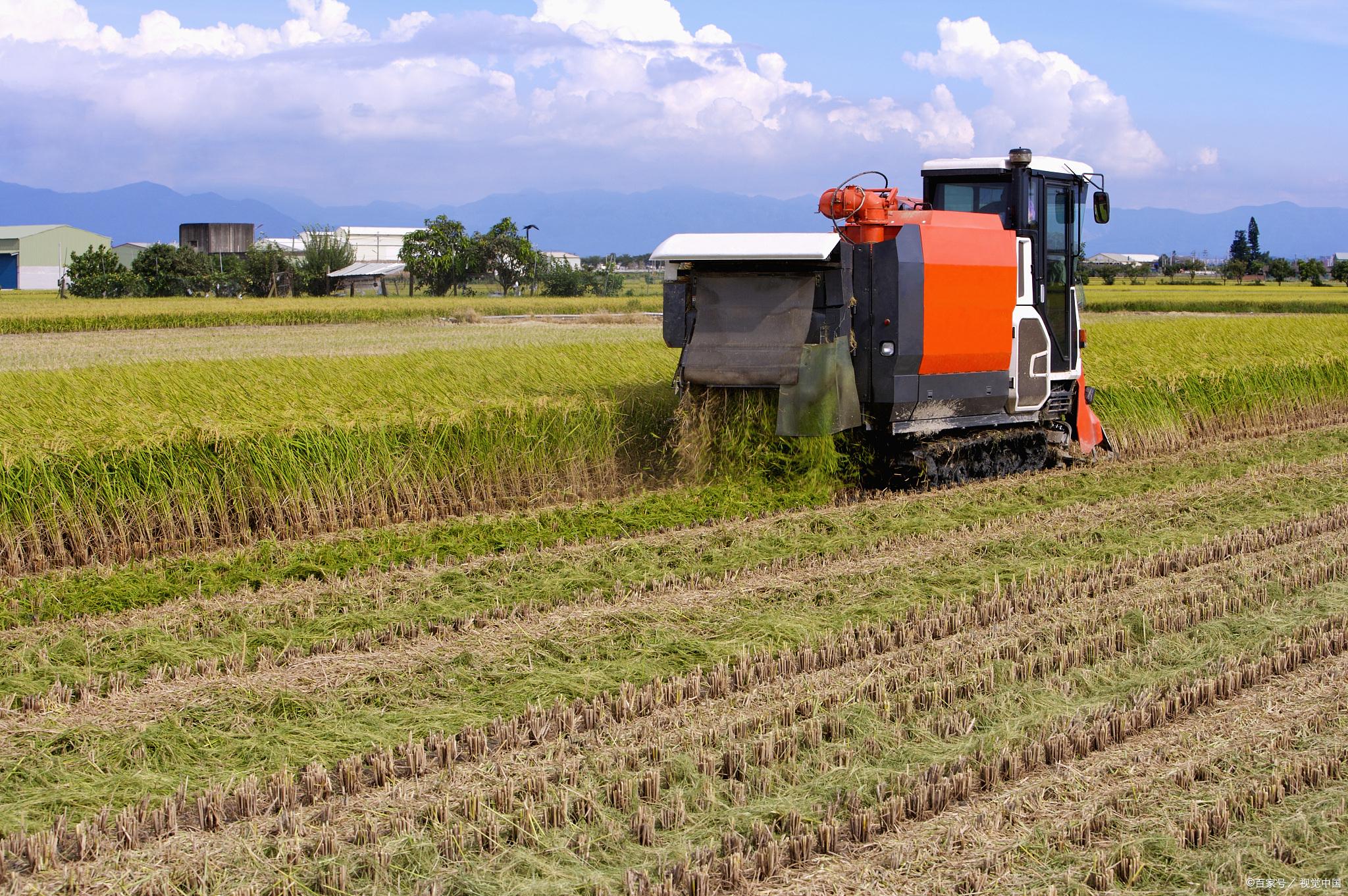 糧食安全戰(zhàn)略引領(lǐng)，A股農(nóng)業(yè)板塊逆市走強 四只潛力黑馬股深度解析